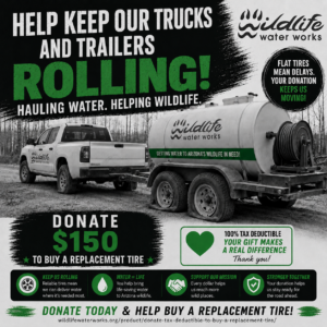 Donate Tax Deductible To Buy A Replacement Tire