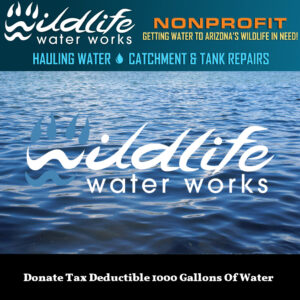 Donate Tax Deductible 1000 Gallons Of Water