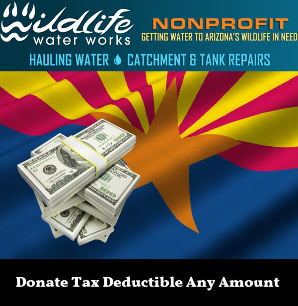 Donate Tax Deductible Any Amount
