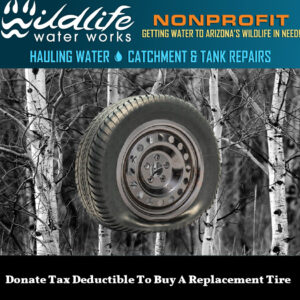 Donate Tax Deductible To Buy A Replacement Tire