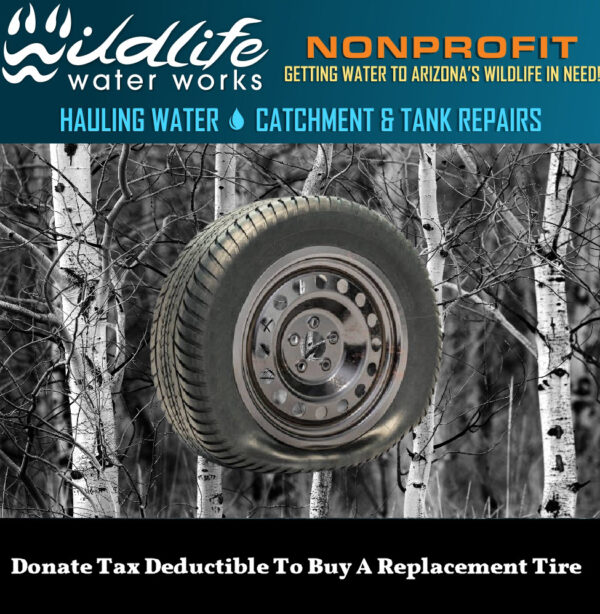 Donate Tax Deductible To Buy A Replacement Tire