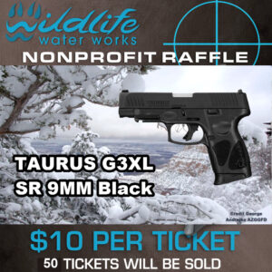 Taurus G3XL 9mm 4" Black Raffle GR2694