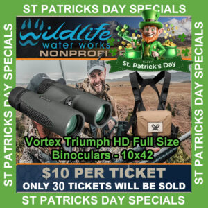 50% OFF! St Patricks Day Special Vortex Triumph HD Full Size Binoculars 10x42 GR2644