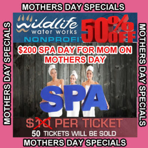 50% OFF! MOTHERS DAY SPECIAL SPA DAY GIFT CARD $200 GR2676
