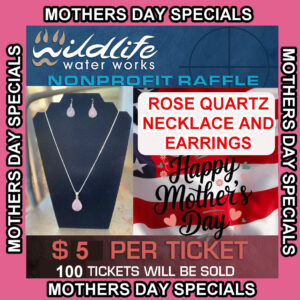 50% OFF! MOTHERS DAY SPECIAL Rose Quartz Necklace and Earrings GR2672
