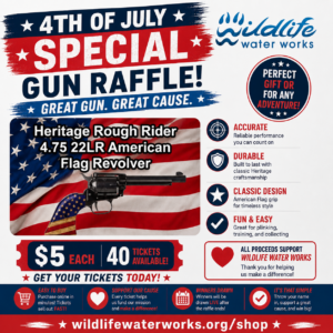 50% OFF 4TH OF JULY SPECIAL Heritage 4.75 Rough Rider 22LR American Flag Raffle GR26105