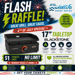 FLASH RAFFLE! BLACKSTONE Tabletop Adventure Griddle WWW Raffle GR26106