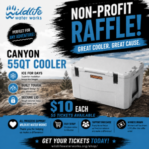 55QT Canyon Cooler WWW Raffle GR26109