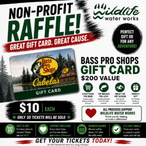 Bass Pro Shop $200 Gift Card Raffle GR 26131