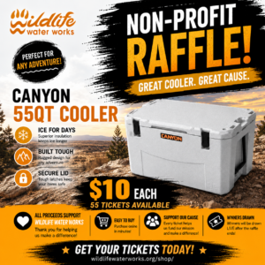 55QT Canyon Cooler WWW Raffle GR26149