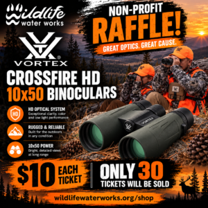 Vortex Crossfire HD Binoculars 10x50 GR26150